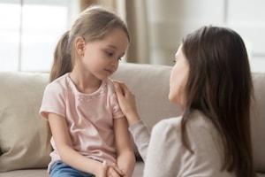 Palatine parenting plan lawyer